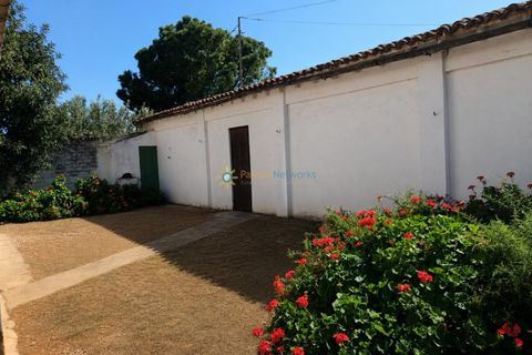Villa en Cotes, Valencia, Cotes - € 1.200.000 | Ref: PNVL2175 - photo 35